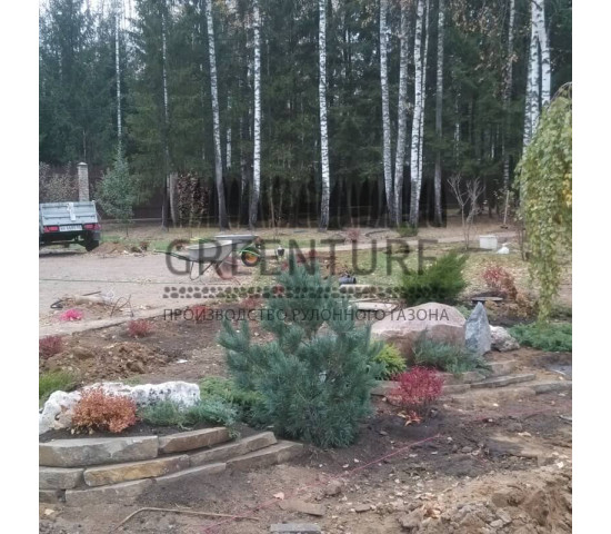 Озеленение и благоустройство территории - фото - 9