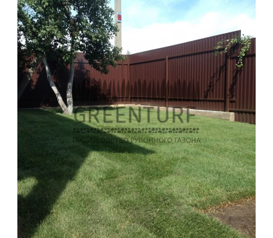 Укладка рулонного газона в деревне Слепушкино - фото - 5