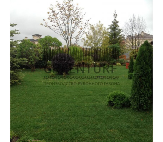 Устройство рулонного газона в коттеджном поселке - фото - 18