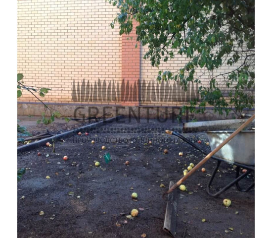 Озеленение частного домовладения - фото - 7