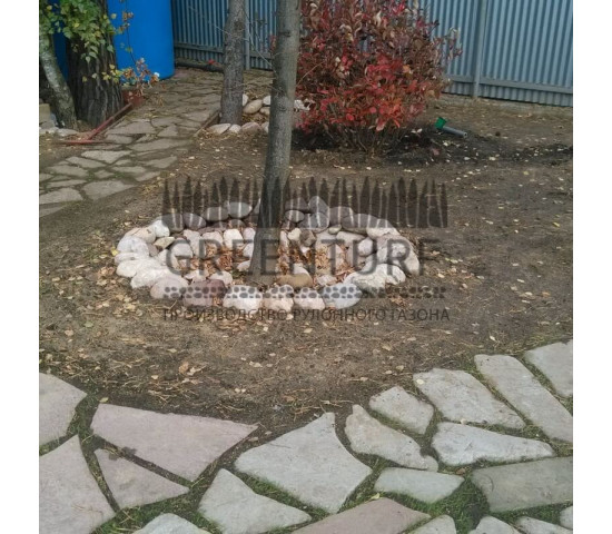 Озеленение частного домовладения - фото - 11